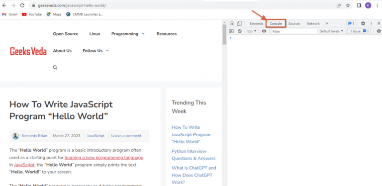 How To Use JavaScript Developer Console in Web Browser