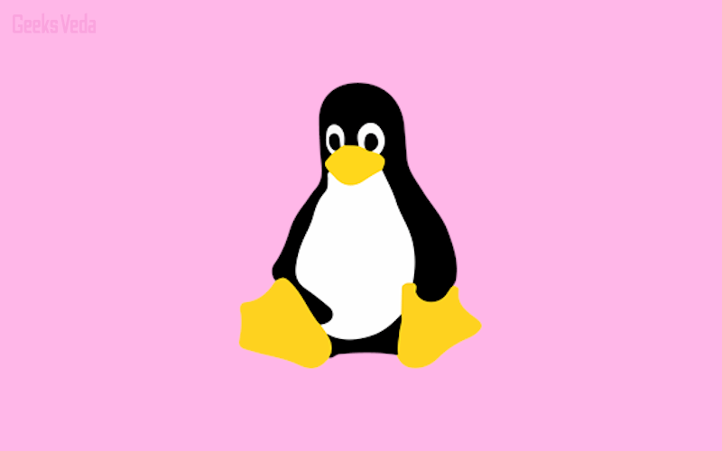 Linux Distros for Old Computers