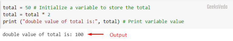 How to Write Comments in Python with Examples