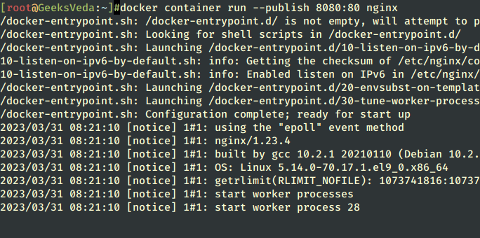 Run Docker Image 