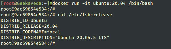 Run Docker Ubuntu Container