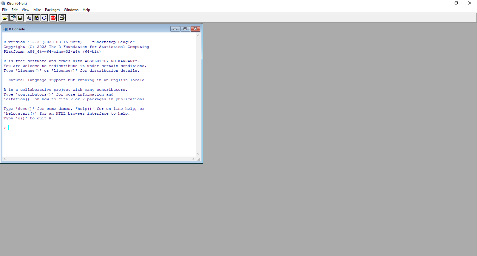 Running R on Windows