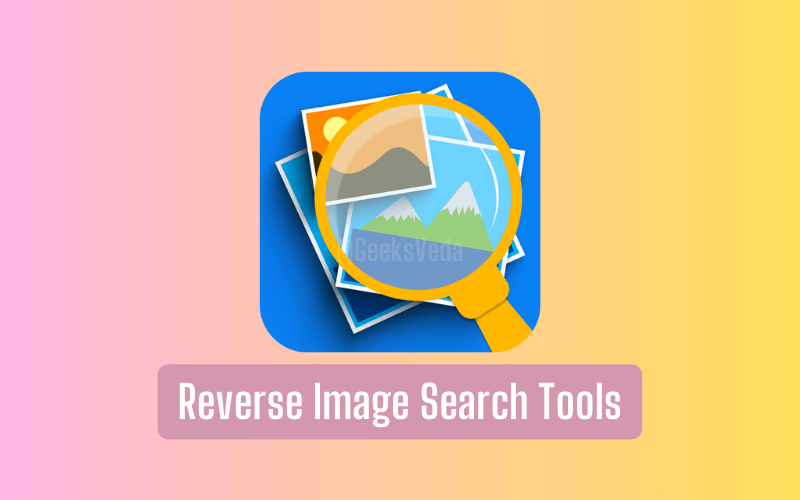 Reverse Image Search Tools