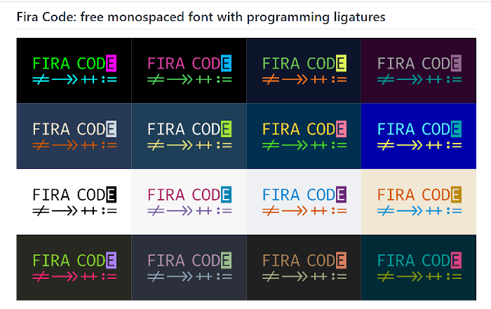 Fira Code Programming Font