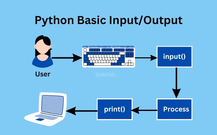 Input and Output Function in Python